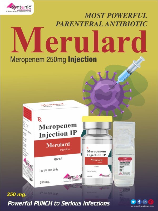 MERUlard-250